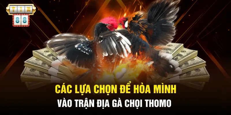 Các lựa chọn để hòa mình vào trận địa gà chọi Thomo