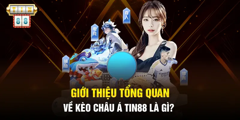 Giới thiệu tổng quan về kèo châu á Tin88 là gì?