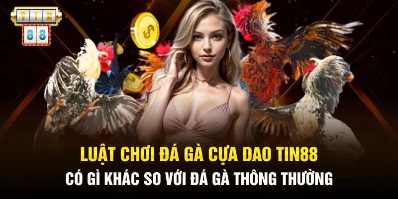 Luật chơi đá gà cựa dao Tin88 có gì khác so với đá gà thông thường