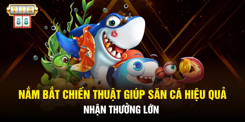 Nắm bắt chiến thuật giúp săn cá hiệu quả nhận thưởng lớn