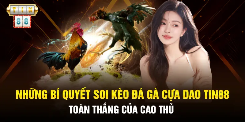 Những bí quyết soi kèo đá gà cựa dao Tin88 toàn thắng của cao thủ