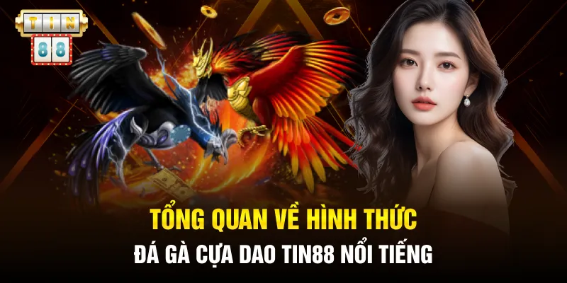 Tổng quan về hình thức đá gà cựa dao Tin88 nổi tiếng