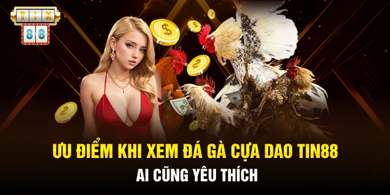 Ưu điểm khi xem đá gà cựa dao Tin88 ai cũng yêu thích