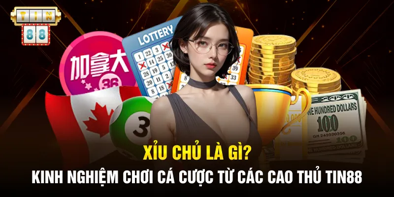 Xỉu Chủ Là Gì? Kinh Nghiệm Chơi Cá Cược Từ Các Cao Thủ Tin88